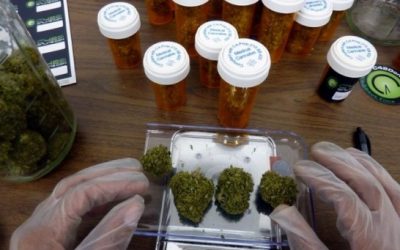 MedLeaf Delivery abre el primer dispensario de cannabis medicinal de Oceanside, California